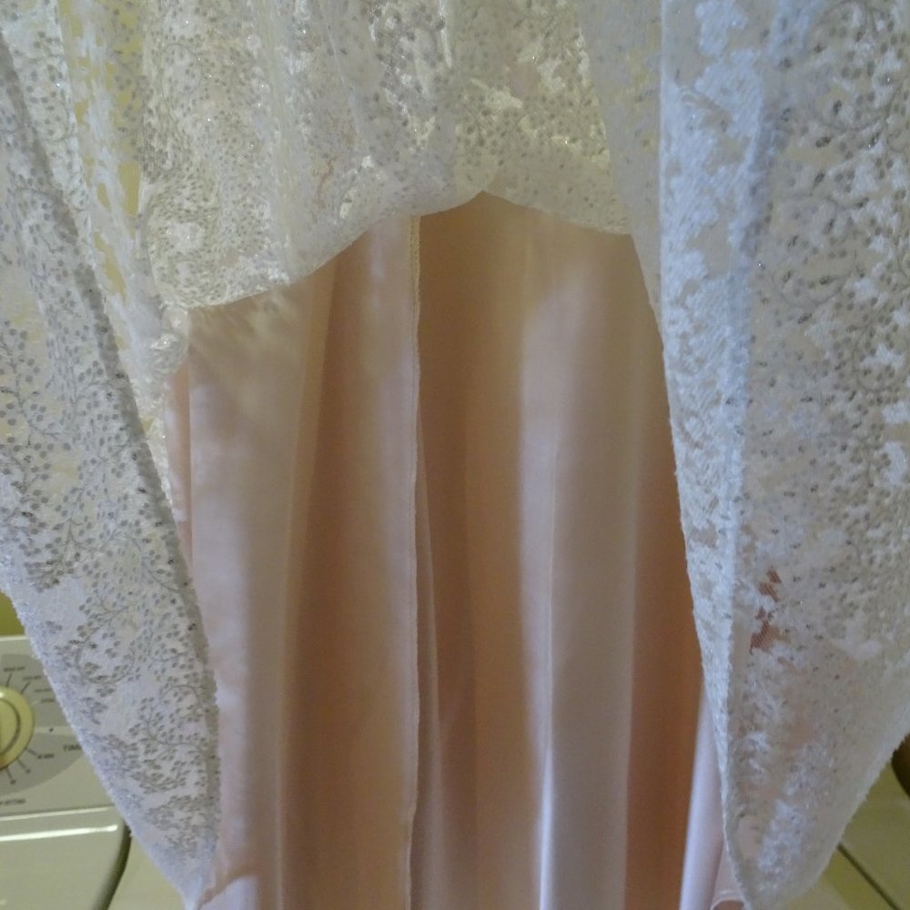 Ladies Size 14 Champagne Lace Dress-NEW - Picture 7 of 8